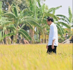 Indonesia Peringkat Pertama Negara Pengekspor Produk Pertanian pada 2024