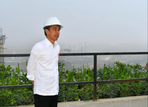 Jokowi: Komitmen Kita Terhadap Kota Hijau IKN Betul-betul Serius