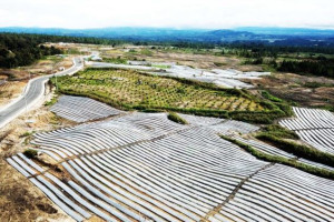 Merusak Lingkungan, WALHI Desak Pemerintah Hentikan Proyek Food Estate