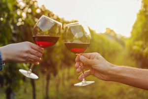 Setara Kualitas Eropa! Ini 7 Merek Wine Lokal yang Bikin Bangga