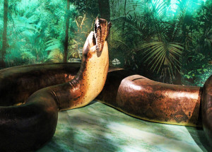 Titanoboa, Ular Legenda dengan Panjang 14 Meter dan Berat 1 Ton