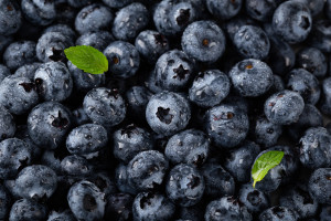 5 Manfaat Tambahkan Blackcurrant ke dalam Makanan Harian, Sehatkan Ginjal Hingga Anti Diabetes