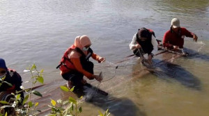 3 Destinasi Wisata Alam di Gresik, Muara Sungai Bengawan Solo Hingga Sumber Mata Air yang Ada Sejak Zaman Majapahit