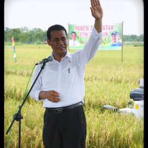 Menteri Pertanian Targetkan Panen Padi Bulan Depan Tembus 3,51 Juta Ton