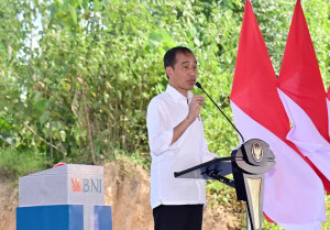 Jokowi: Kalau Investasi Berbondong-bondong Ingin Masuk Semuanya Seperti Sekarang, IKN Bisa Lebih Cepat Jadi Kota Hidup