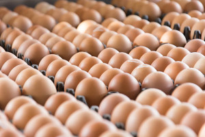 Beras dan Telur Ayam Pengaruhi Inflasi Maret 2024
