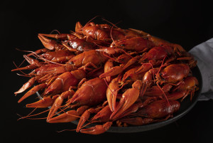 Pemerintah Atur Tata Kelola Lobster, Kepiting, dan Rajungan untuk Genjot Pendapatan Negara