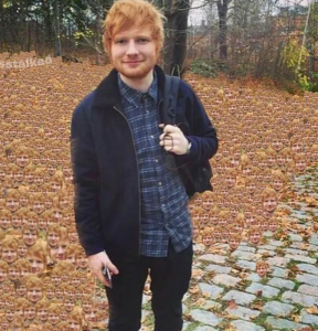 Fokus Tur, Tahun Ini Ed Sheeran Tidak Rilis Lagu Baru