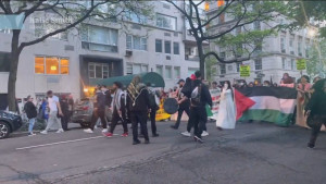 20 Lebih Pengunjuk Rasa Pro Palestina Ditangkap di Dekat Met Gala di New York