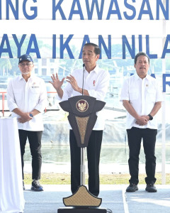 Jokowi Bakal Minta Prabowo Urus Proyek Model Tambak Ikan Nil,..