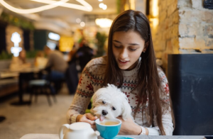 4 Rekomendasi Dog Cafe di Jakarta, Tempat Pelarian Bagi Pencinta Anjing!