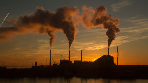 Genjot Bursa Karbon Melalui Kerja Sama Lintas Lembaga