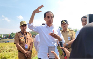TEGAS! Jokowi Bilang Tak Ada Bansos Korban Judi Online