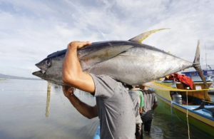 BUMN Pangan Ekspor 573 Ton Produk Perikanan Sepanjang 2023